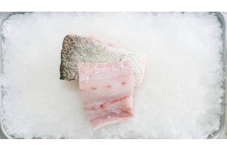 Najlepsze zamrażarki do małych lokali gastronomicznych